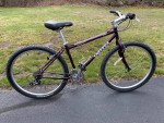 Nice Hybrid Bike