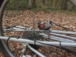 Xtracycle cargo bike