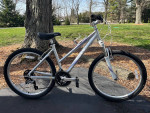 Giant Boulder SE