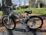 Giant Boulder SE