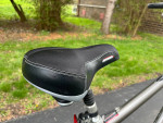 Raleigh Venture 4.0