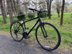 Trek FX 7.3