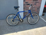 Trek Millennia Mens 21 Speed Bicycle