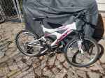 Next full suspension bike