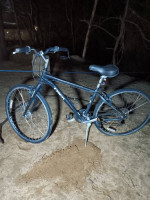Trek Verve I