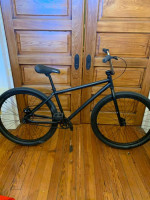 GT Pro series 29 BMX