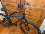 GT Pro series 29 BMX