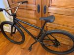 GT Pro series 29 BMX