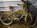 Mardi Gras deco-cruiser and matching bike trailer