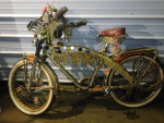 Mardi Gras deco-cruiser and matching bike trailer
