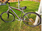 Schwinn