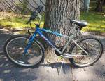 Bicycle Bike MTX 200 Boulder Blue