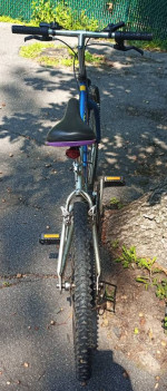 Bicycle Bike MTX 200 Boulder Blue