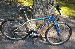 Bicycle Bike MTX 200 Boulder Blue