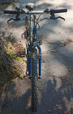 Bicycle Bike MTX 200 Boulder Blue