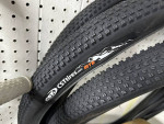 Rental E-Bike Liquidation