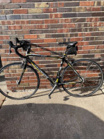 2007 specialized