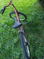 Muti-Speed Union  Mountain Bike