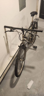 GIANT Iguana 18 Speed Mountain Bike