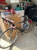 2007 specialized ruby carbon