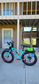 Amazing Surly Fatbike