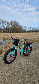 Amazing Surly Fatbike