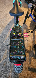 Amazing Surly Fatbike