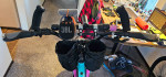 Amazing Surly Fatbike