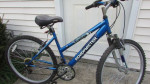 Roadmaster  MT Sport SX