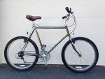 SCHWINN IMPACT - SMOKED CHROME FINISH- LARGE