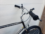 SCHWINN IMPACT - SMOKED CHROME FINISH- LARGE