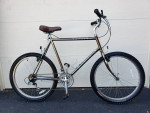 SCHWINN IMPACT - SMOKED CHROME FINISH- LARGE