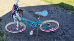Kids bike Girl bicycle