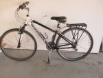 Women's Diamondback Road Bike
