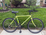 Jazz Voltage Mountain Bike