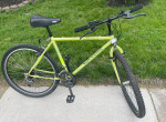 Jazz Voltage Mountain Bike