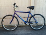 Diamondback wildwood comfort bike