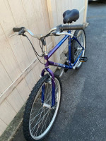 Diamondback wildwood comfort bike