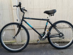 Trek Antelope comfort Bike