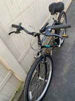 Trek Antelope comfort Bike