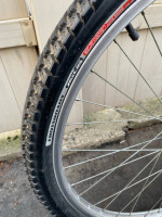 Trek Antelope comfort Bike