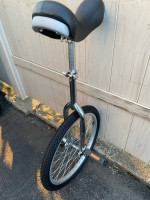 20 Inch Wheel Chrome Unicycle with Alloy Rim