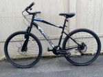 Schwinn glenwood hybrid bike
