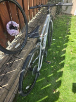 Diamondback metric 2 hybrid