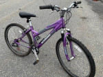 Girls Youth 26” Schwinn Mountain  Bike - 4’ to 5’2