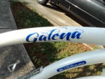 Ladies 29" Genesis Cruiser Bike