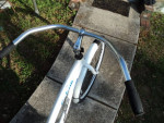 Ladies 29" Genesis Cruiser Bike