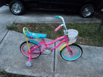 Girls 16" Little Miss Matched Bike