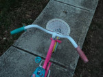 Girls 16" Little Miss Matched Bike