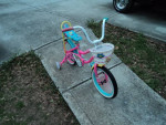 Girls 16" Little Miss Matched Bike
